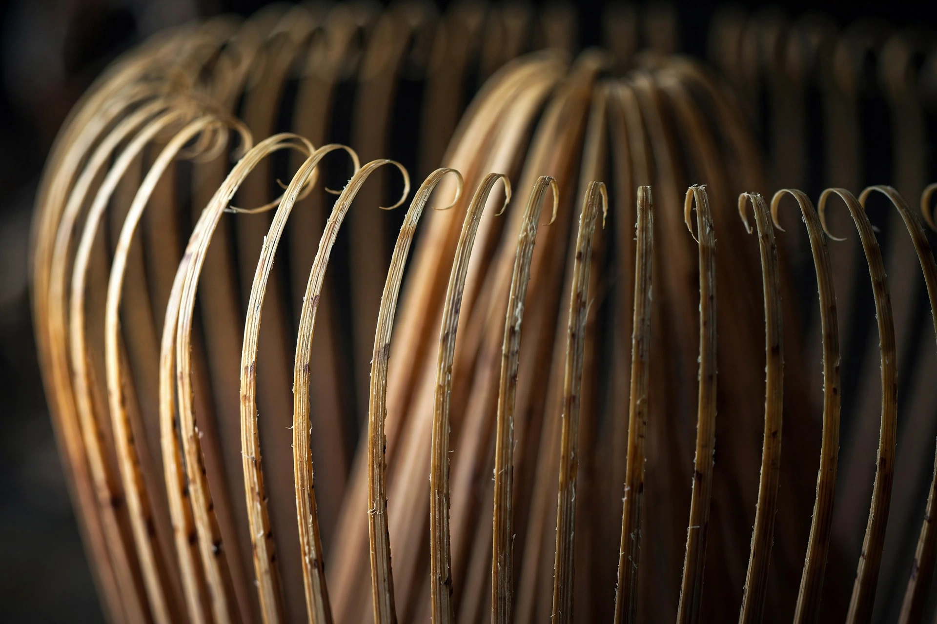 Macro close-up of the fine tines of a bamboo matcha whisk
